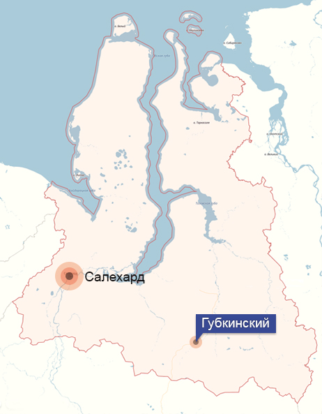 Карта губкинский
